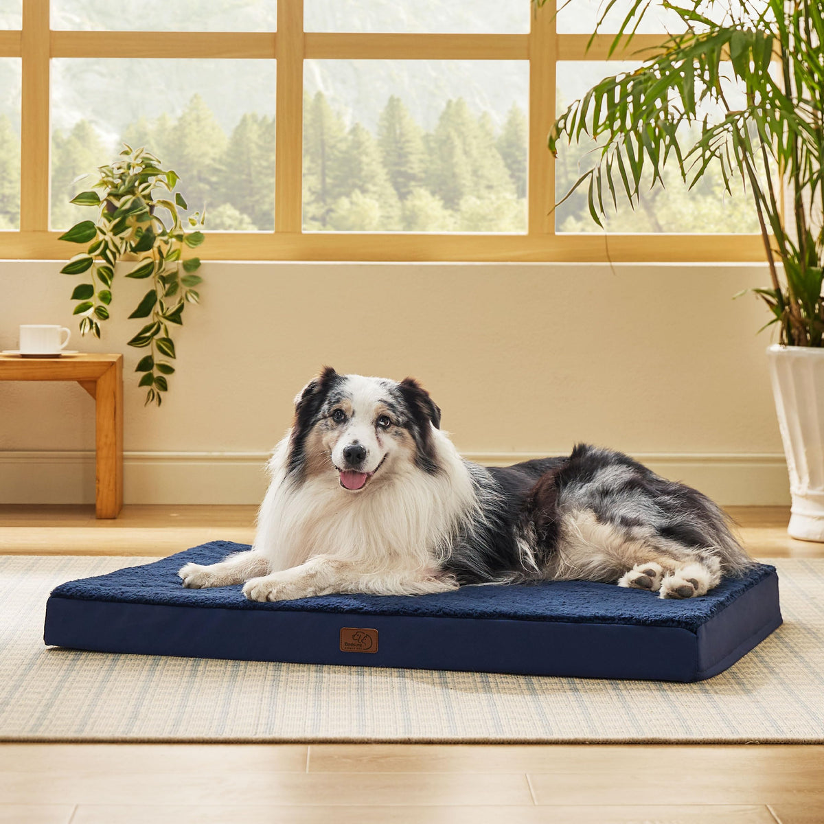 Bedsure Washable Dog Beds Large Sized Dog with Comfy Sherpa, 36x27in Grey