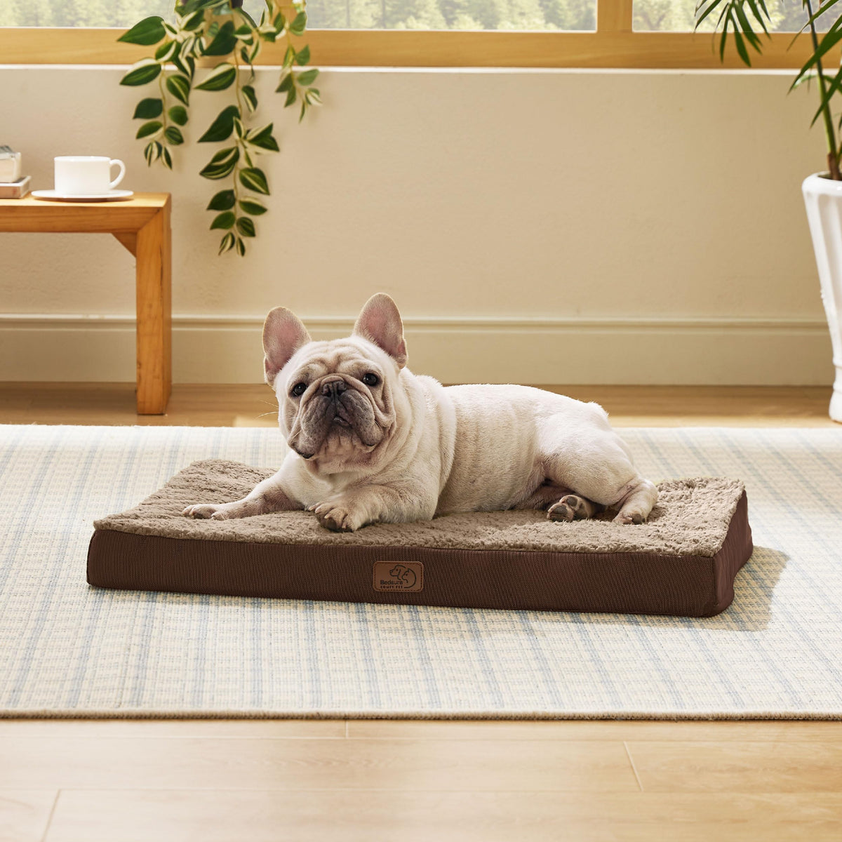 Bedsure Washable Dog Beds Large Sized Dog with Comfy Sherpa, 36x27in Grey