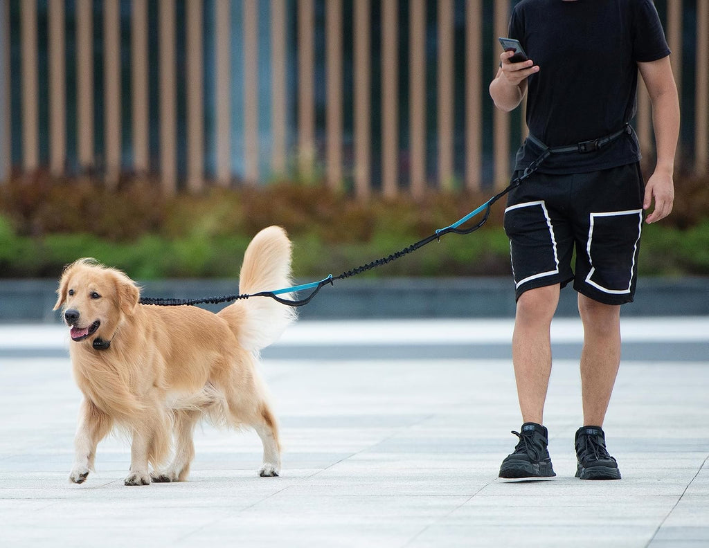 iYoShop Retractable Hands Free Dog Leash, Medium/Large, 25-150 lbs, Black