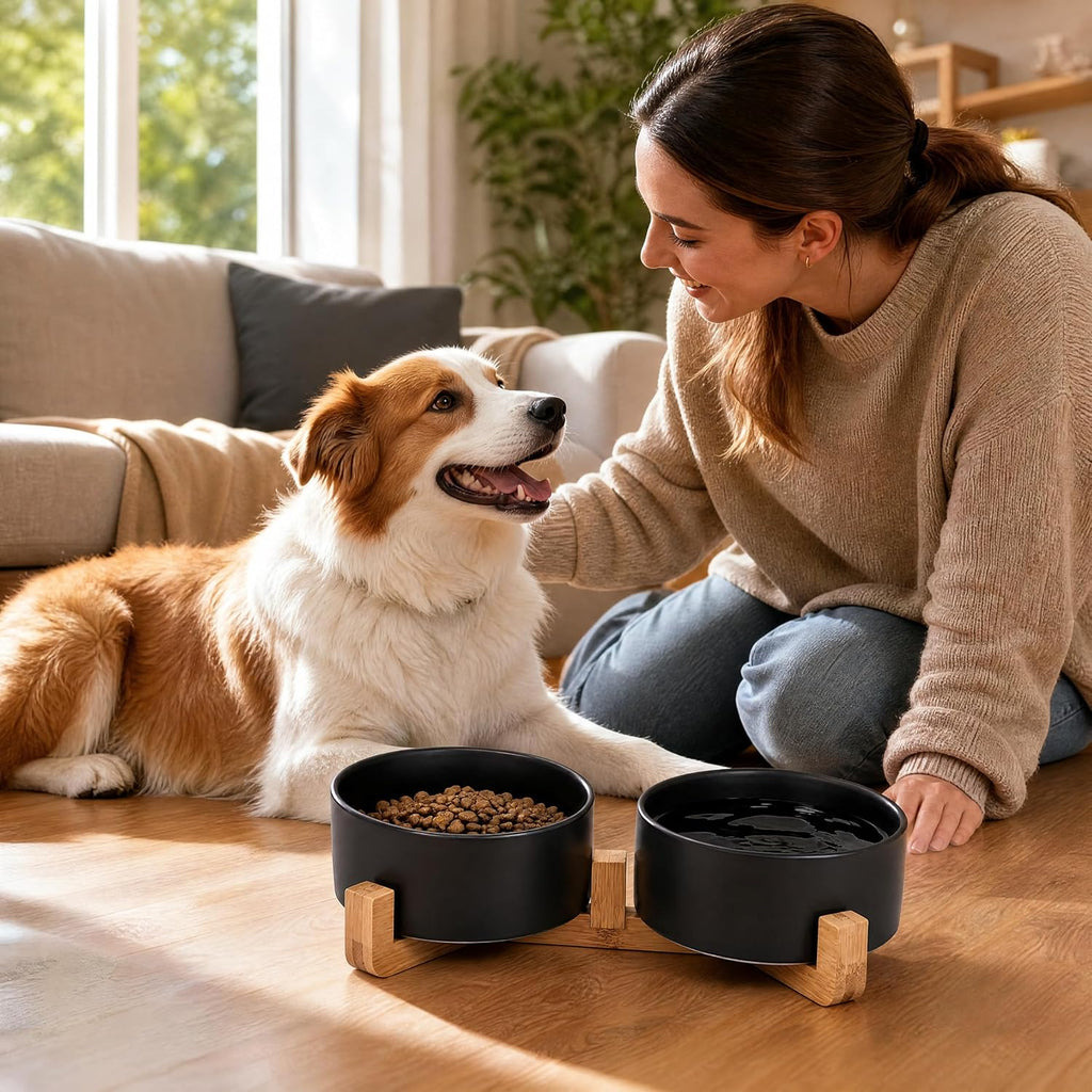 Petygooing Ceramic Dog Cat Bowls Set with Stand,Black Pet Food and Water Bowl,Small Dog Bowls Cute Modern Anti Slip Set of 2 Pet Feeder Small Size Pet Dish(13.5OZ/5.1 in)