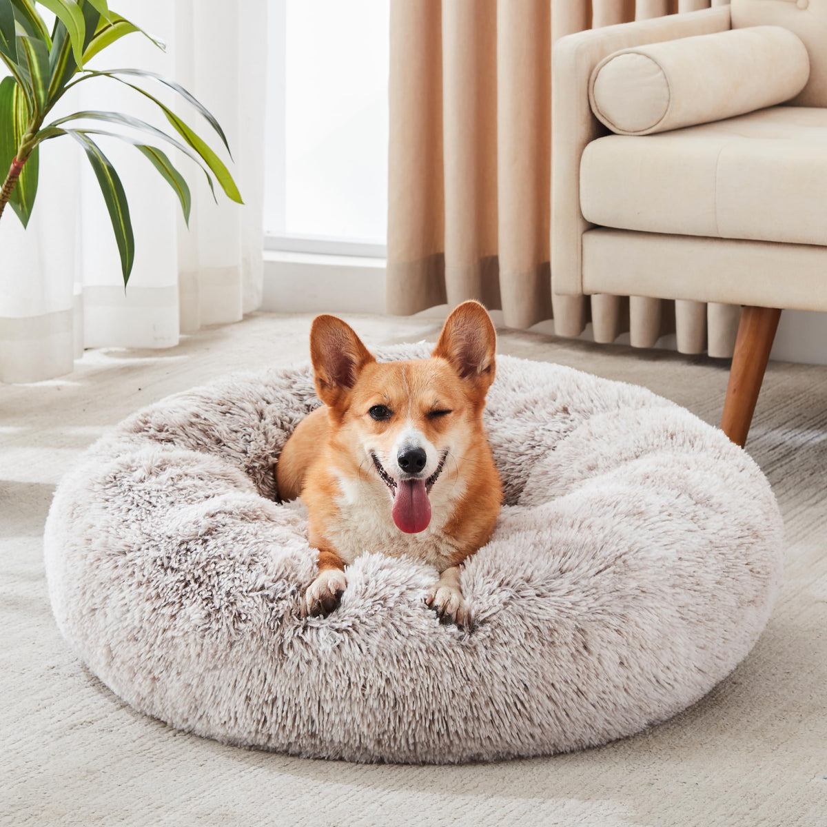 WESTERN HOME WH Calming Soft Round Dog &Cat Bed Small Dog Bed Washable,20"