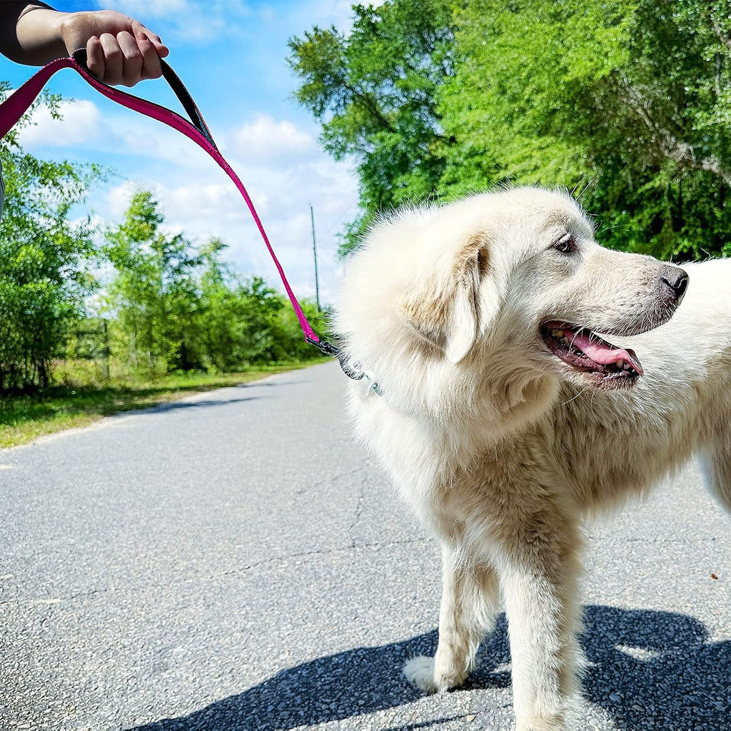 Joytale Dog Leash for Large Dogs that Pull, Double Handle, 6FT, Hot Pink