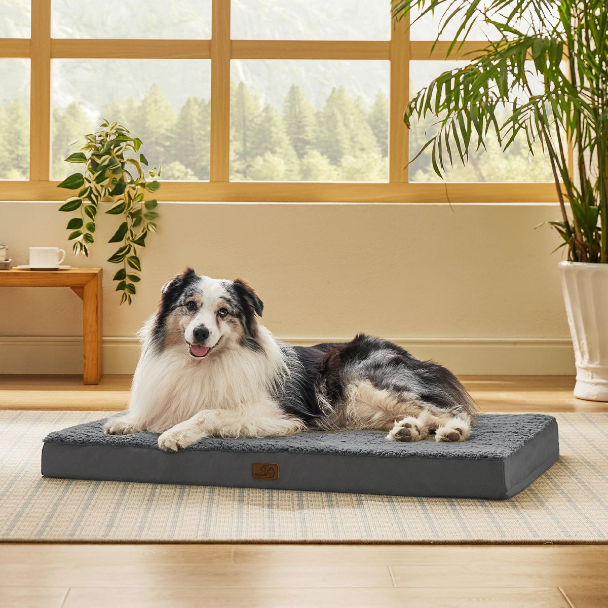 Bedsure Washable Dog Beds Large Sized Dog with Comfy Sherpa, 36x27in Grey