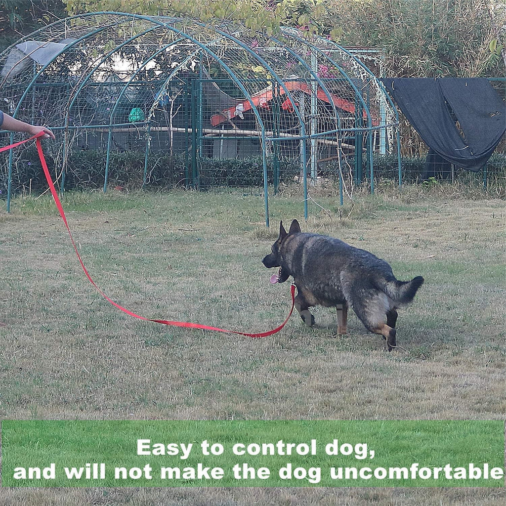 Strong Durable Nylon Dog Training Leash, 1 Inch Wide Traction Rope, 6 ft Long, for Small and Medium Dog (Pink, 6 Feet)