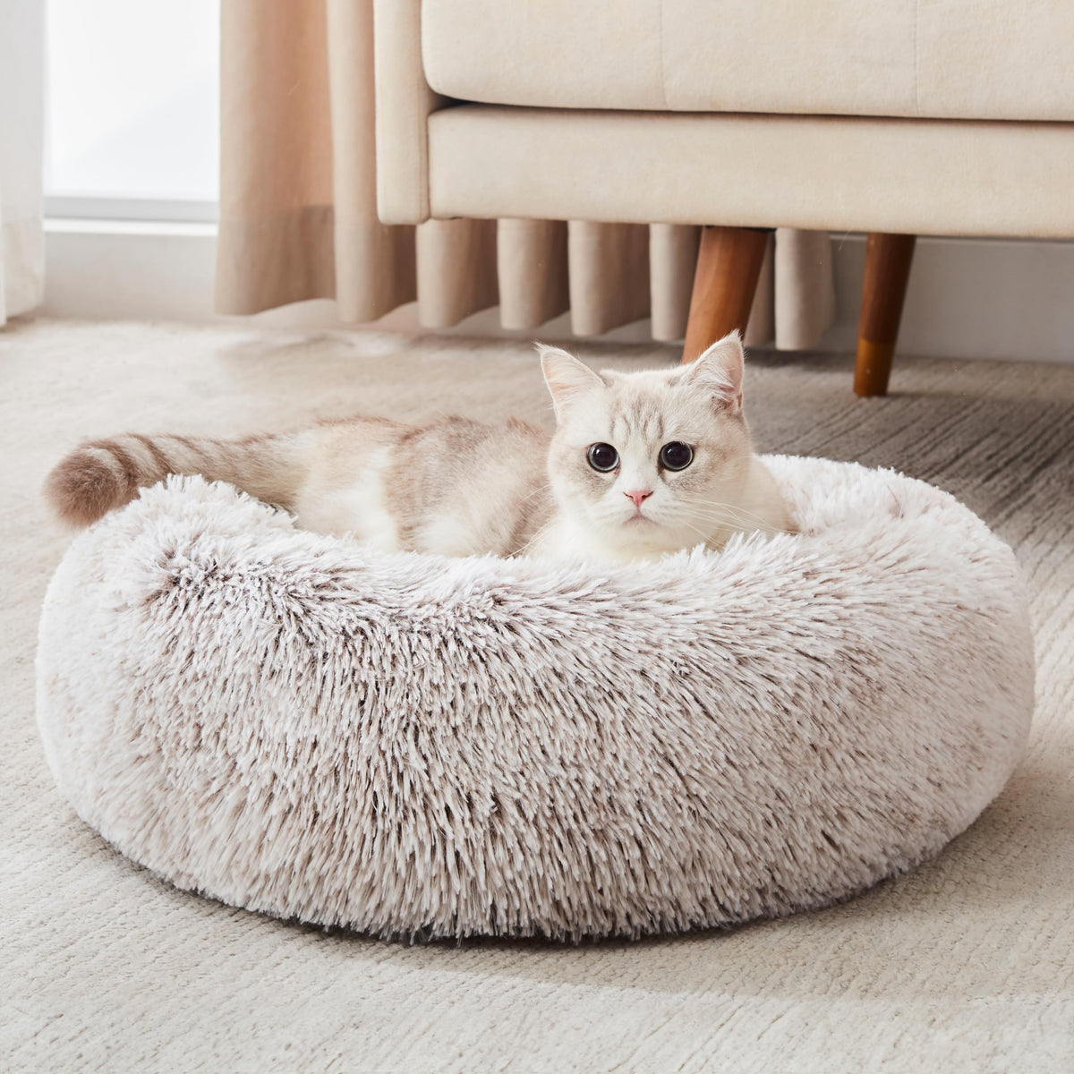WESTERN HOME WH Calming Soft Round Dog &Cat Bed Small Dog Bed Washable,20"