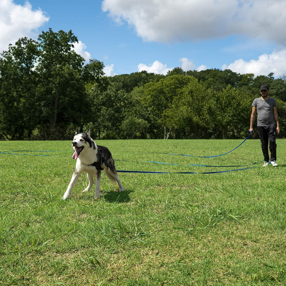 Hi Kiss Dog/Puppy Obedience Recall Agility Lead - 15ft 20ft 30ft 50ft 100ft Leash - Great for Training, Play, Camping, or Backyard - Orange 20ft