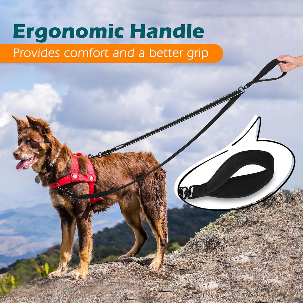 PetBonus Two Point Control Dog Leash, No Tangle Training Walking Leashes