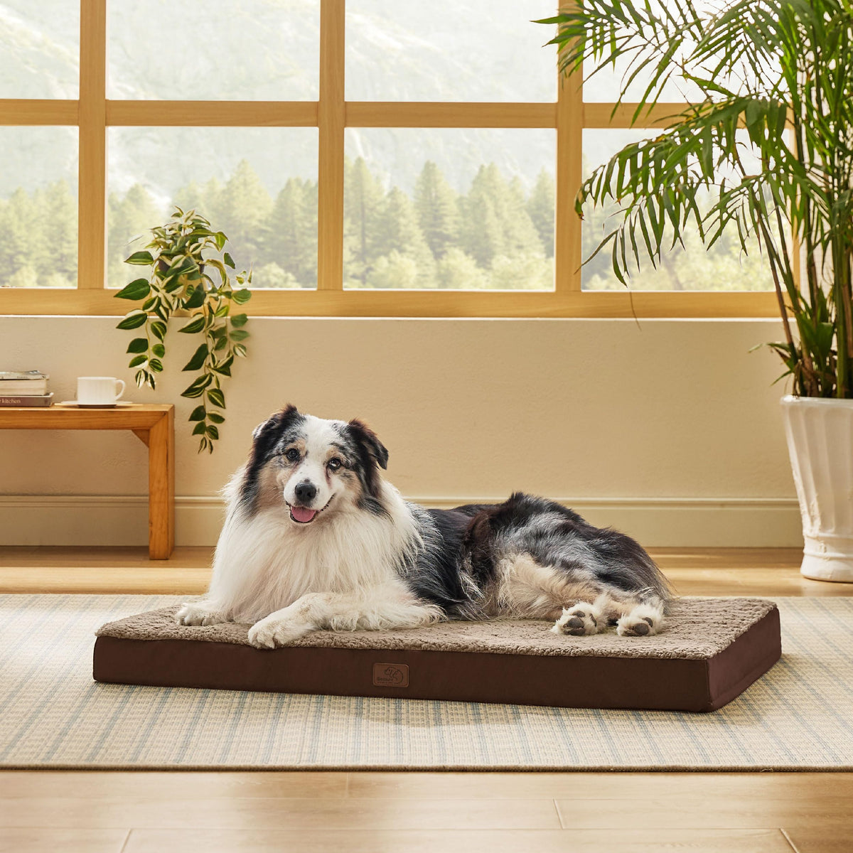 Bedsure Washable Dog Beds Large Sized Dog with Comfy Sherpa, 36x27in Grey
