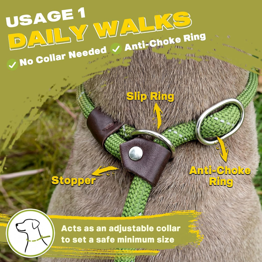 Fida Durable Slip Lead Dog Leash, 6 FT x 1/2" Dog Training Leash, Green