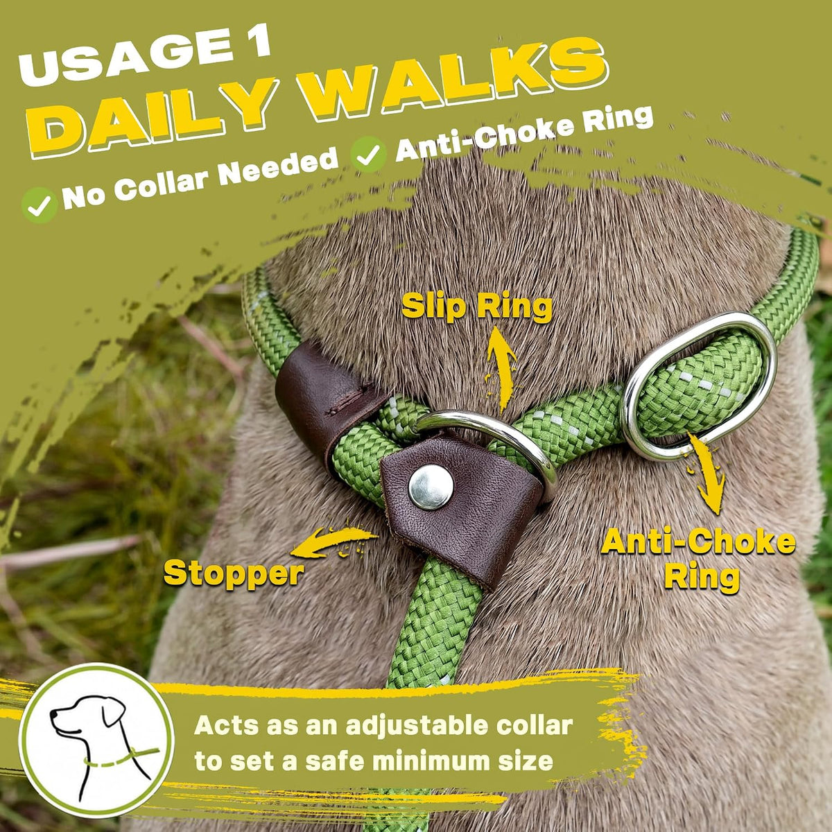 Fida Durable Slip Lead Dog Leash, 6 FT x 1/2" Dog Training Leash, Green